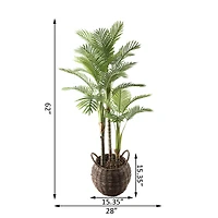 Flora Bunda® 6ft. Palm in Brown Basket Planter
