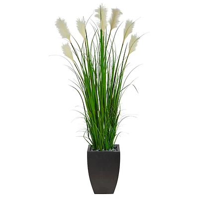 5ft. Wheat Plume Grass Plant in Black Planter