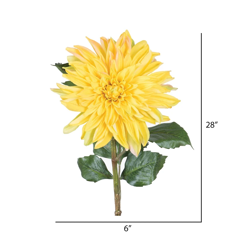 Yellow Dahlia Stem