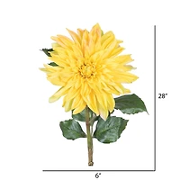 Yellow Dahlia Stem