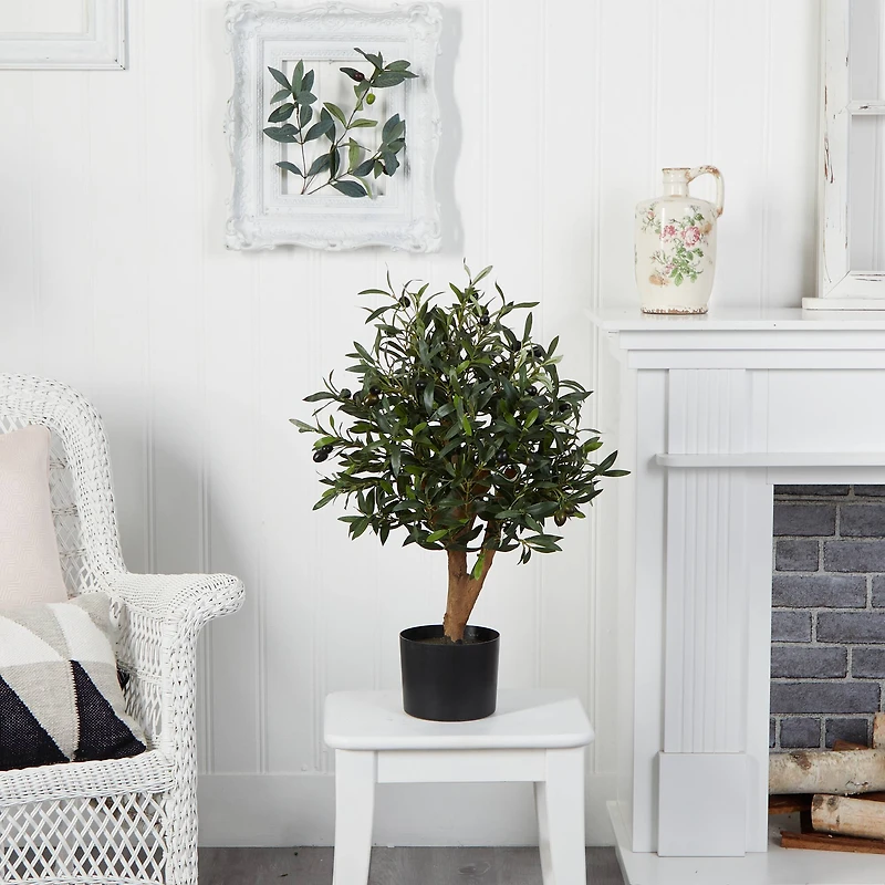 2.5ft Olive Tree in Black Planter