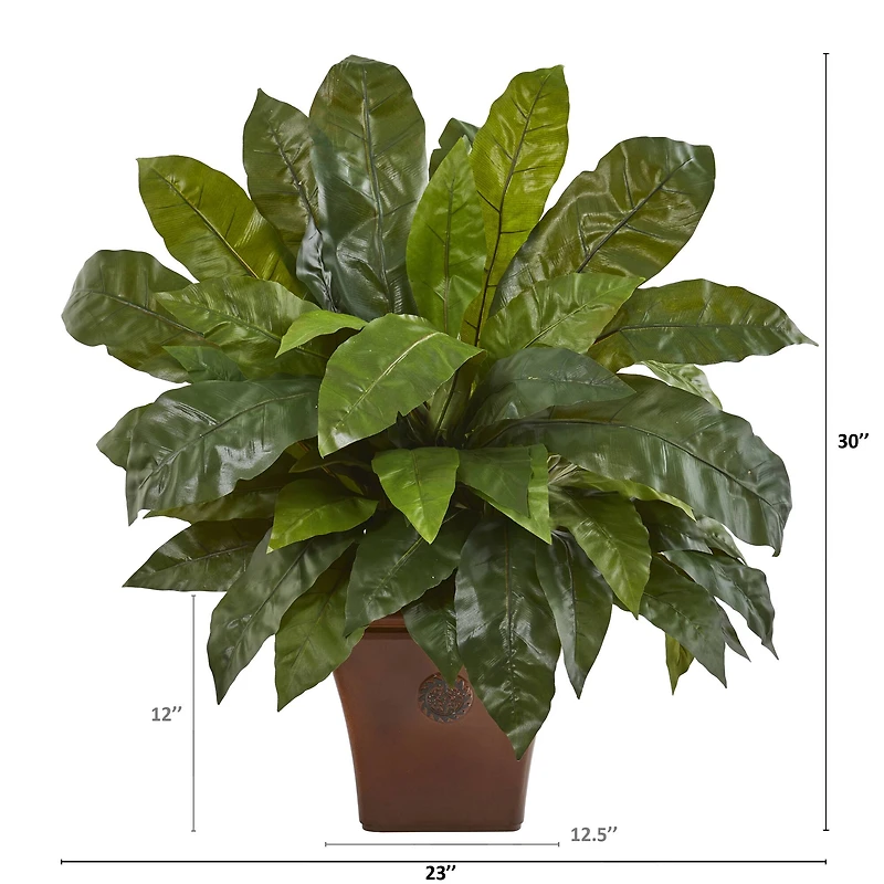 2.5ft. Birds Nest Fern in Brown Planter