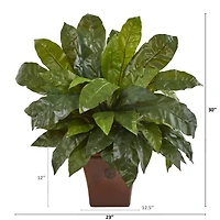 2.5ft. Birds Nest Fern in Brown Planter