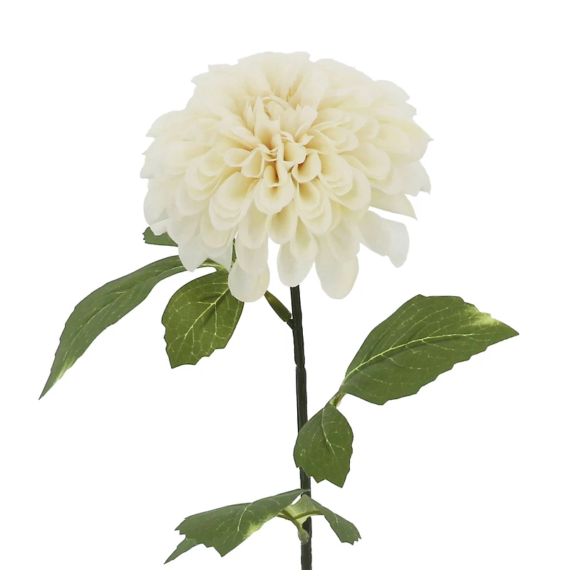 31" Cream Ball Dahlia Stem by Ashland®