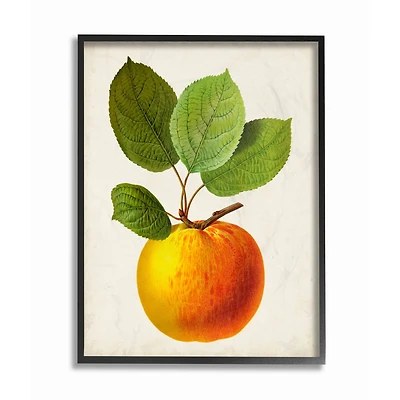 Stupell Industries Vintage Fruit Apple Painting in Black Frame Wall Art