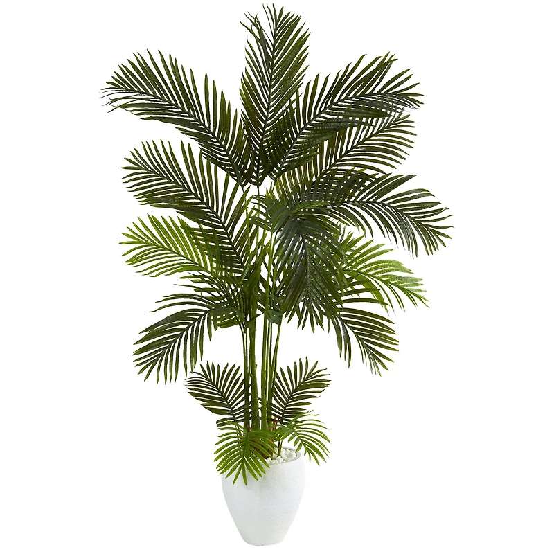 5.5ft. Areca Palm Tree in White Planter