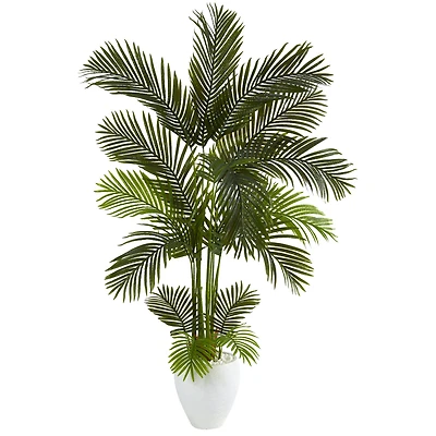 5.5ft. Areca Palm Tree in White Planter