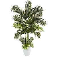 5.5ft. Areca Palm Tree in White Planter