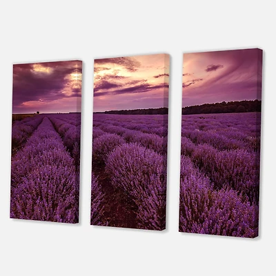 Designart - Sunrise & Dramatic Clouds Over Lavender Field III