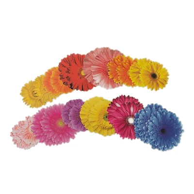 Gerbera Daisy Die Cut Stickers by Recollections™