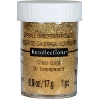 12 Pack: Sparkle Embossing Powder by Recollections™