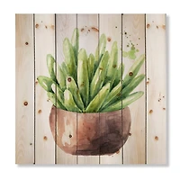 Designart - Succulent Flower In Terracotta Pot I