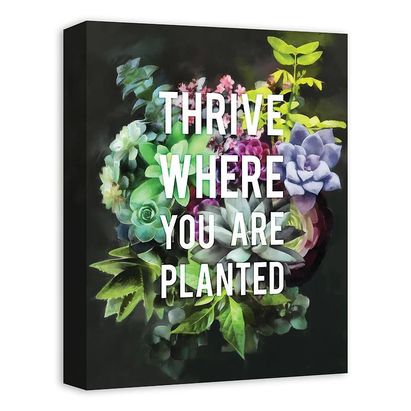 Thrive Where You Are Planted 12" x 16" Canvas Wall Art