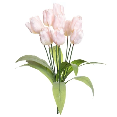 Pink Tulip Bush by Ashland®