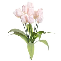 Pink Tulip Bush by Ashland®