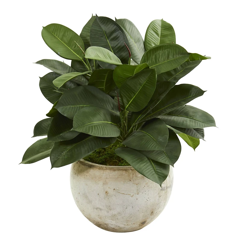2ft. Artificial Rubber Plant in Stone Planter
