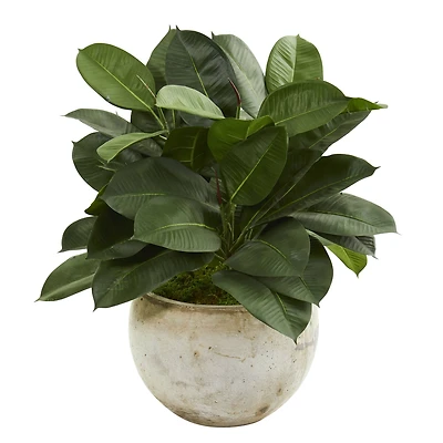 2ft. Artificial Rubber Plant in Stone Planter