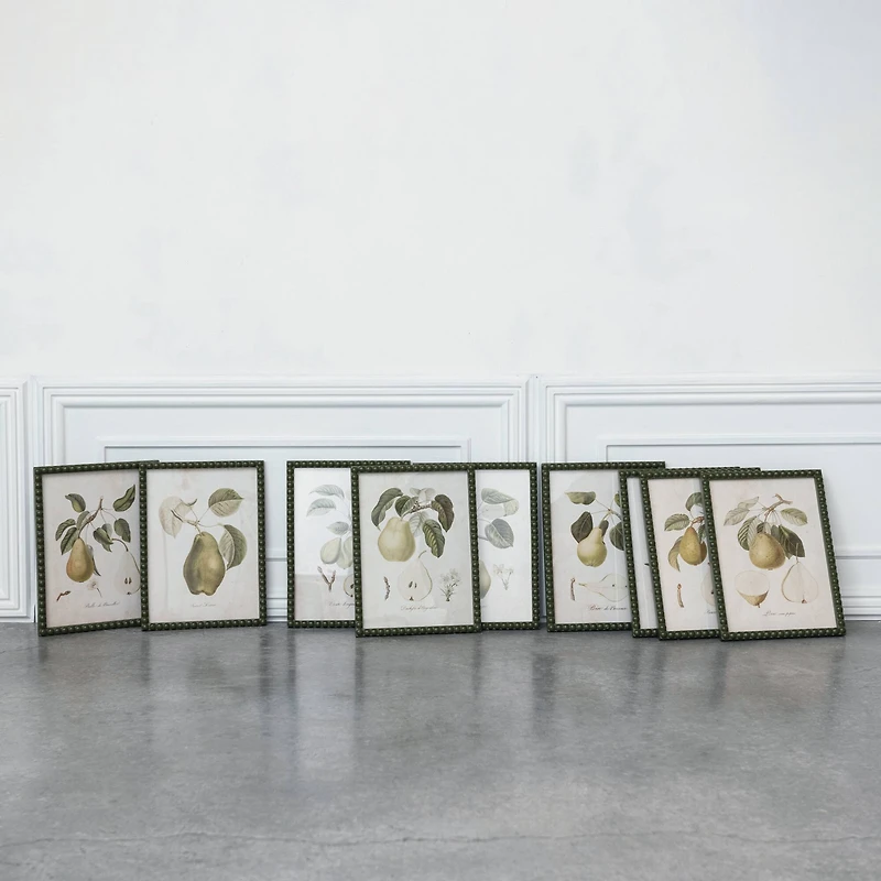 Hello Honey® 11.75" x 15.75" Orchard Essence Pear Print Collection Wall Art Set