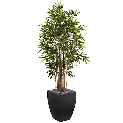 5ft. Bamboo Tree in Black Wash Planter