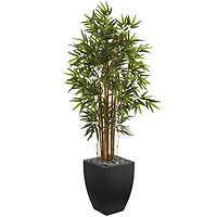 5ft. Bamboo Tree in Black Wash Planter