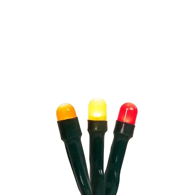 15ct. Multicolor Micro LED Thanksgiving Lights