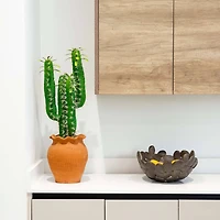 2ft. Cactus in Terracotta Planter