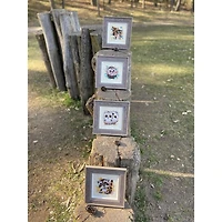 RIOLIS Little Owls Counted Cross Stitch Kit