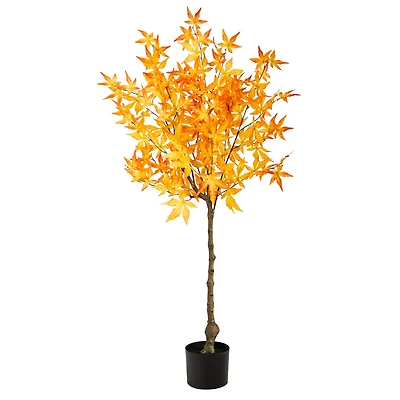 4ft. Potted Yellow Autumn Maple Tree