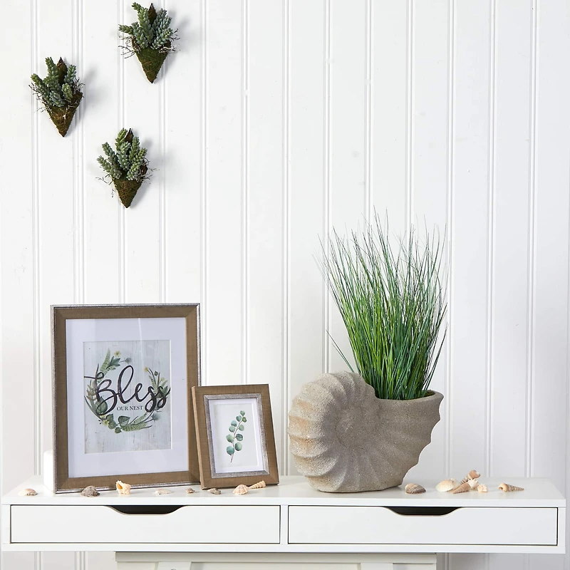 21" Onion Grass Plant in Shell-Shaped Planter