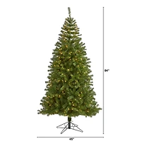 7ft. Pre-Lit Springfield Artificial Christmas Tree, Clear LED Lights