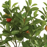 3ft. Potted Orange Tree