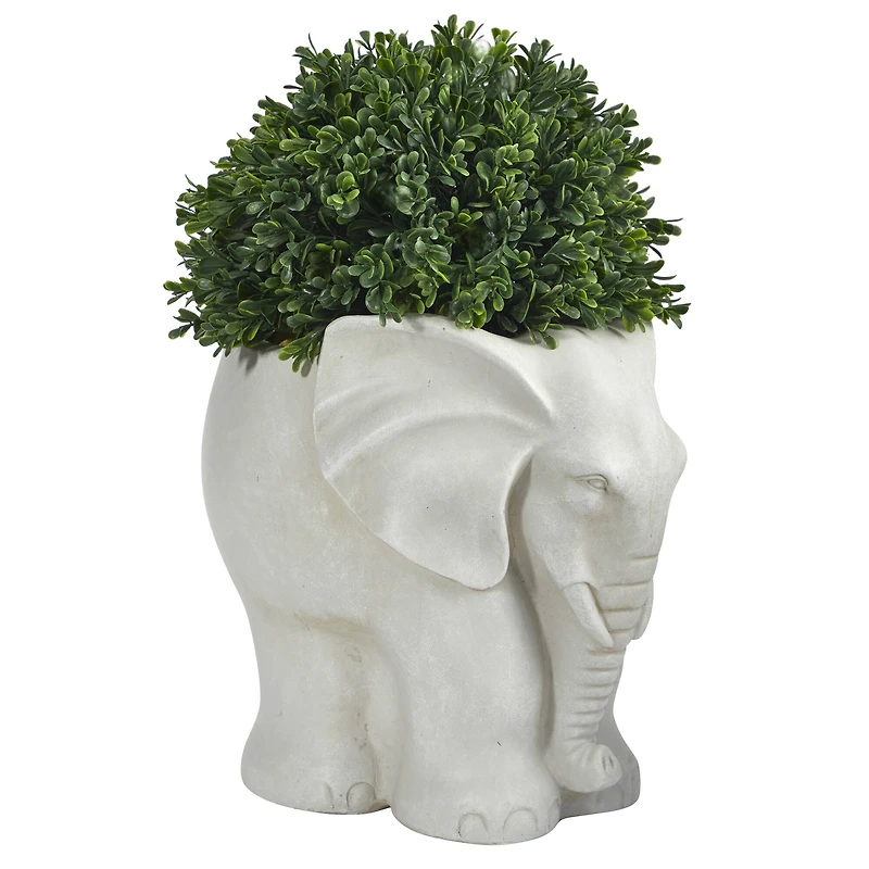 16" Boxwood Topiary Plant in Elephant Shaped Planter
