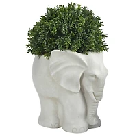 16" Boxwood Topiary Plant in Elephant Shaped Planter
