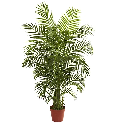 4.5ft. Potted Areca Palm