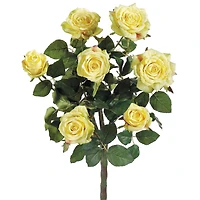 Yellow Confetti Rose Bush