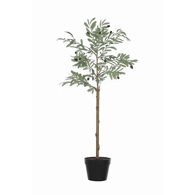 Hello Honey® 3.5ft. Potted Olive Tree