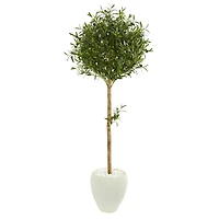 5ft. Olive Topiary Artificial Tree in White Planter