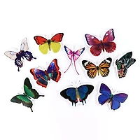 Vinyl Diecut Butterfly Stickers by Recollections