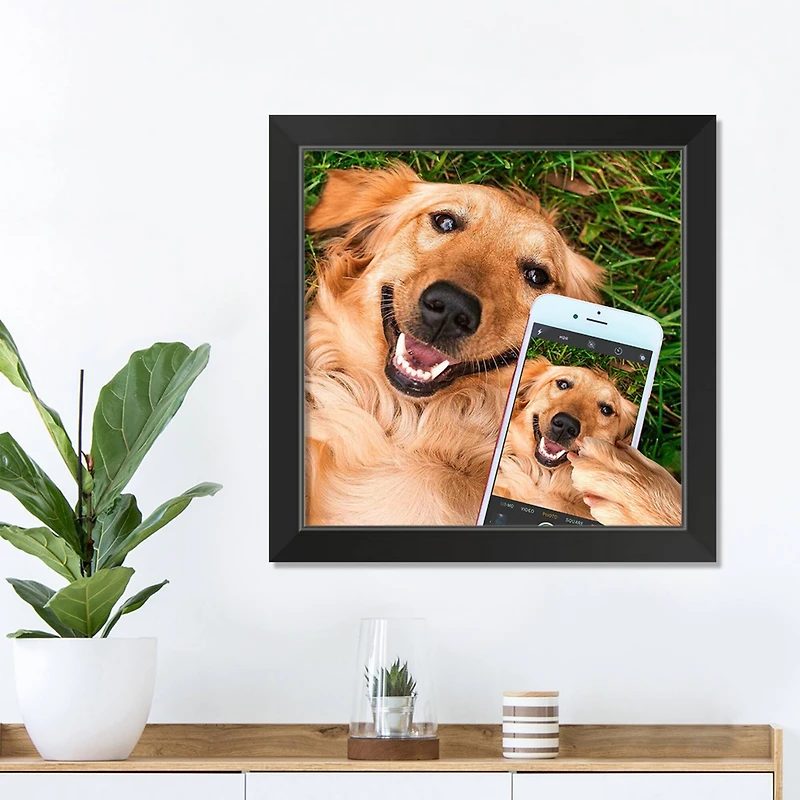 Selfie Golden 1 16" x 16" Black Framed Print Under Plexiglass