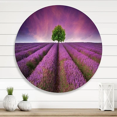 Designart - Stunning Lavender Field Summer Sunset With Tree