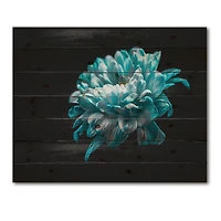 Designart - Close Up of Pure Blue and White Daisy Flower II