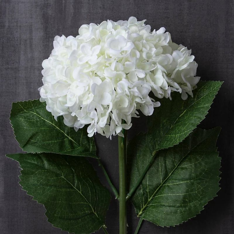 Small Cream Hydrangea Stem by Ashland®