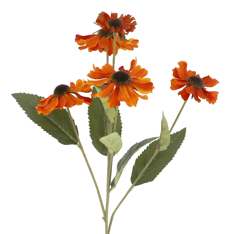 36" Orange Black Eyed Susan Stem by Ashland®