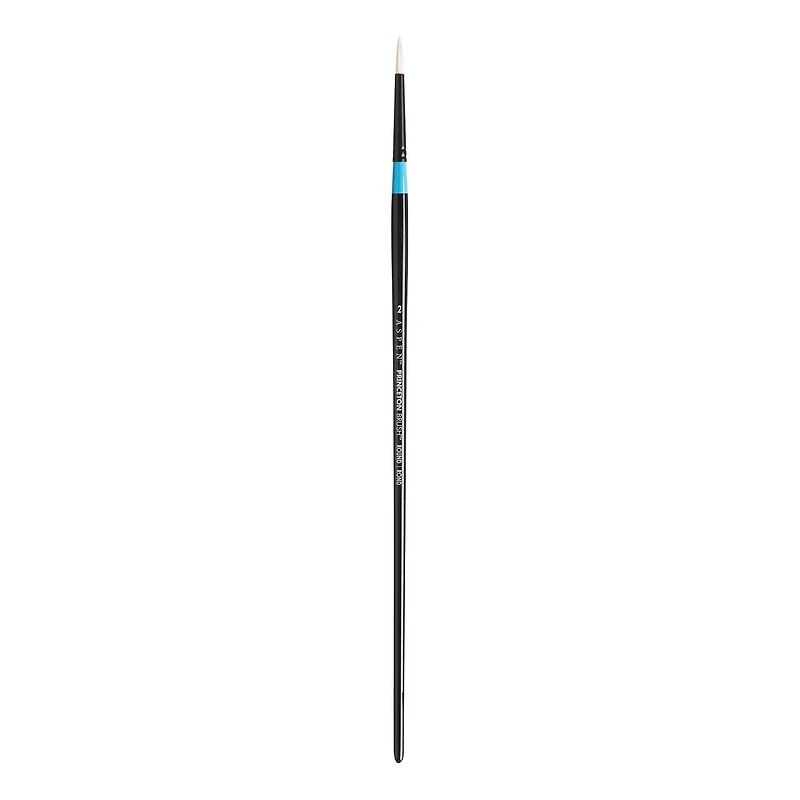 Princeton™ Aspen™ Synthetic Long Handle Round Brush