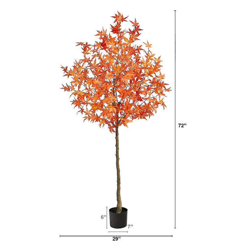 6ft. Potted Orange Autumn Maple Tree