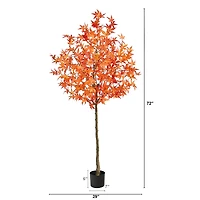 6ft. Potted Orange Autumn Maple Tree