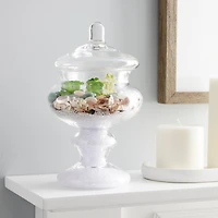 9.5" Clear Glass Apothecary Jar by Ashland®