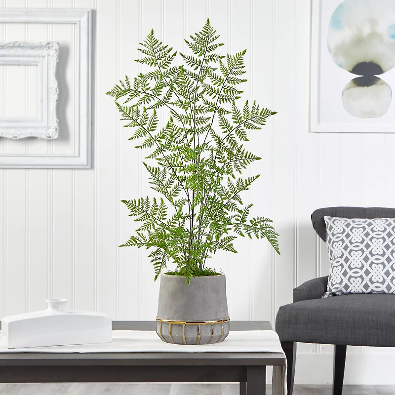 3ft. Ruffle Fern Tree in Gold Trimmed Stoneware Planter