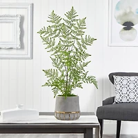3ft. Ruffle Fern Tree in Gold Trimmed Stoneware Planter