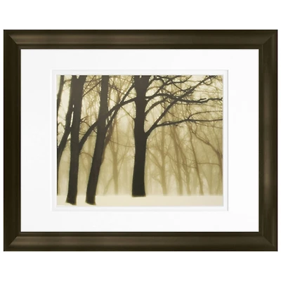 Timeless Frames® Past Dreams Framed Print Wall Art